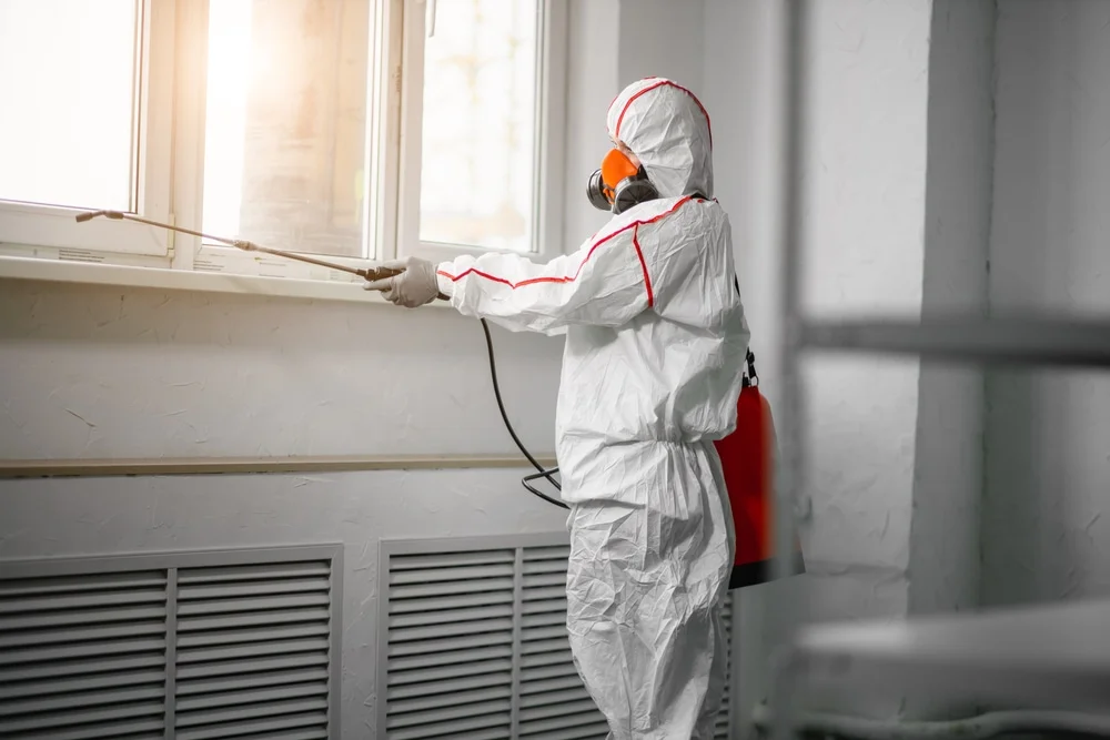 Professional mold remediation services in West Mansfield, OH
